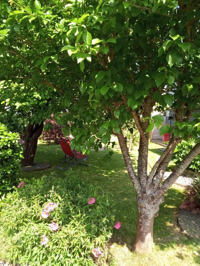 L'Attrape Coeurs Otel Mantilly Dış mekan fotoğraf